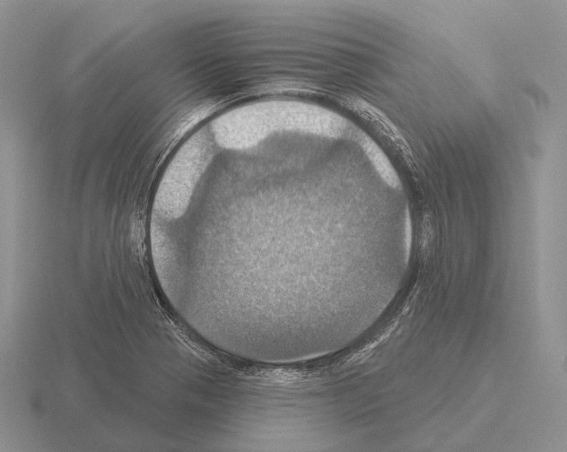 X0000115451321200912161506