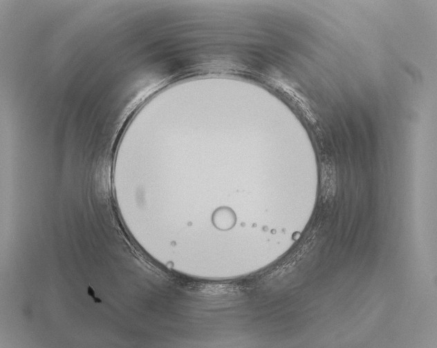 X0000115451322200912161506