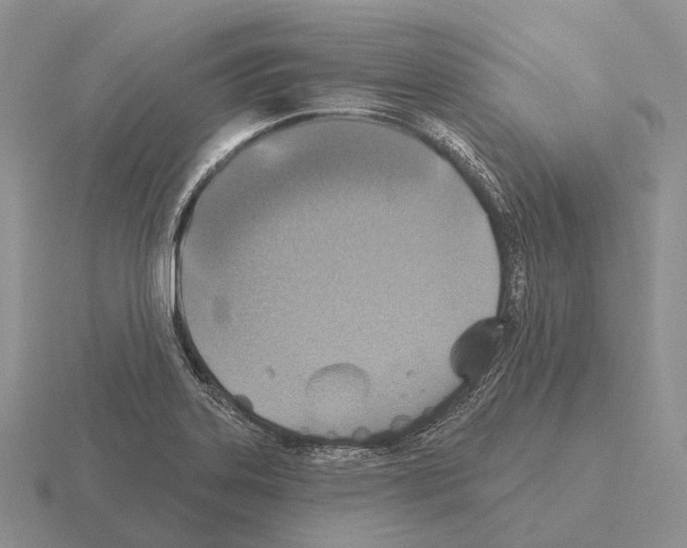 X0000115451323200912161506