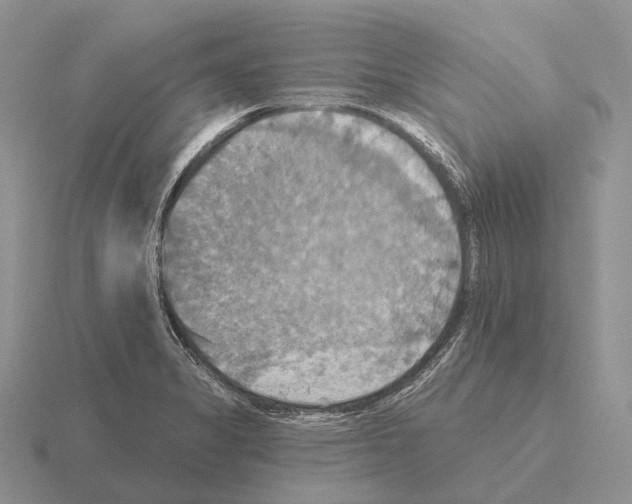 X0000115451325200912161506