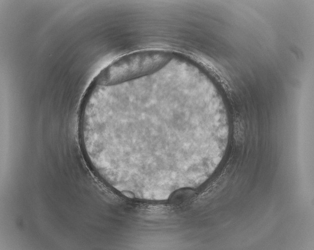 X0000115451326200912161506