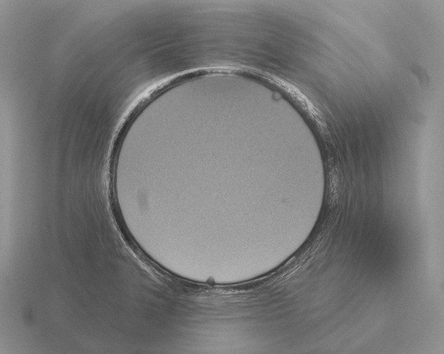 X0000115451327200912161506