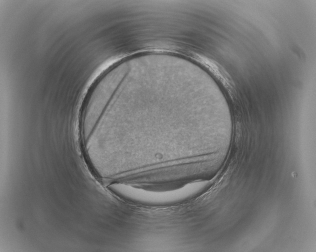 X0000115451331200912161506