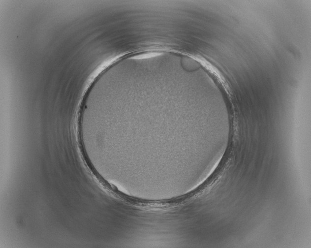 X0000115451333200912161506