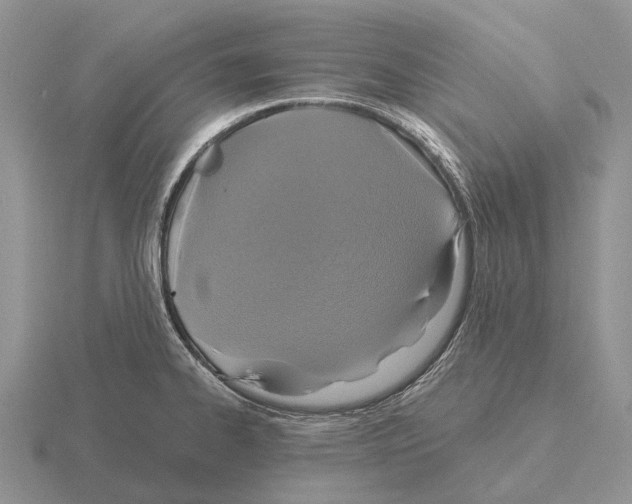 X0000115451334200912161506