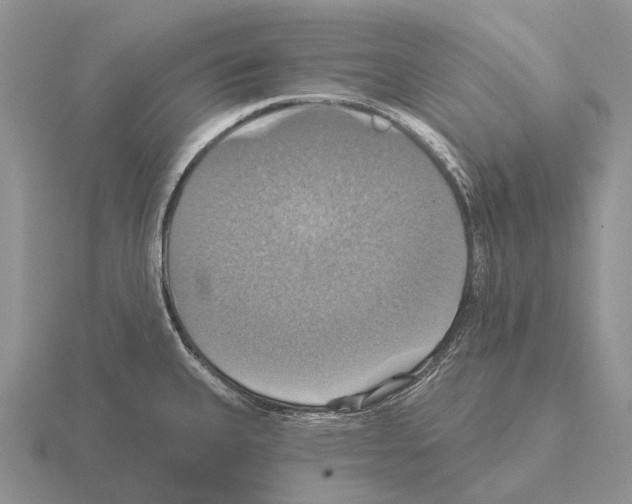 X0000115451335200912161506