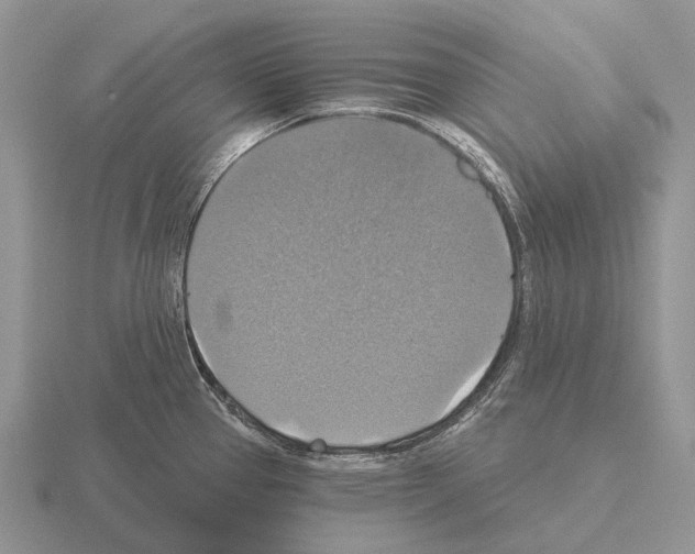 X0000115451337200912161506