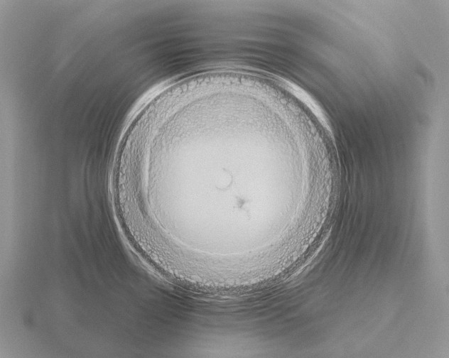 X0000115451338200912161506