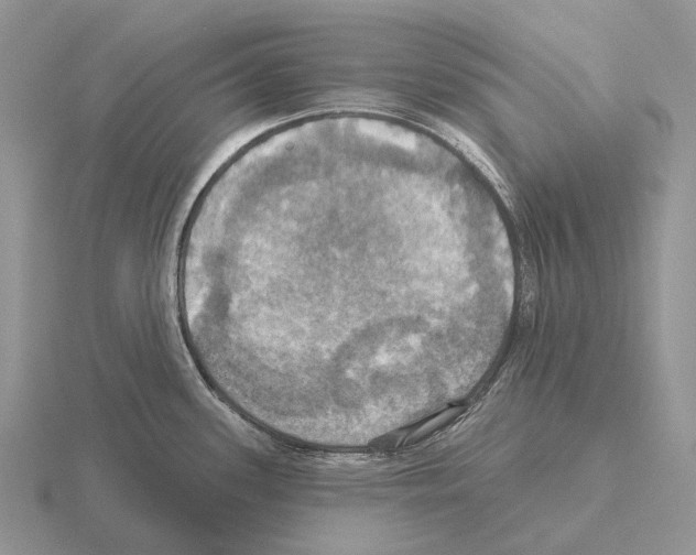 X0000115451339200912161506