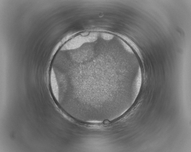 X0000115451341200912161507