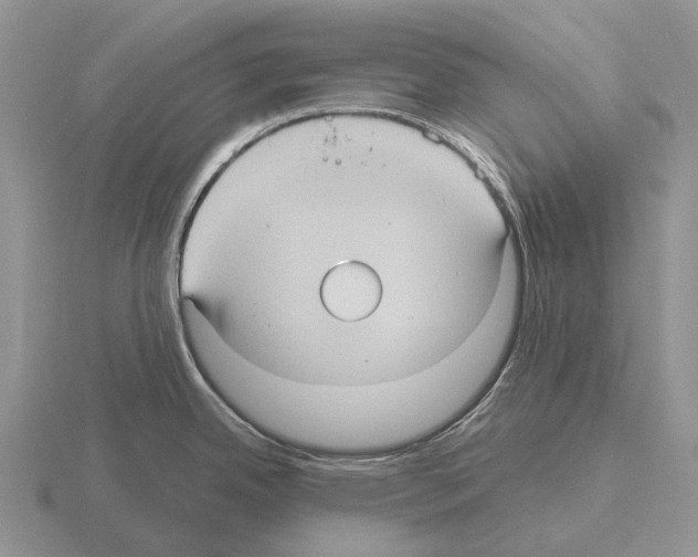 X0000115451342200912161507