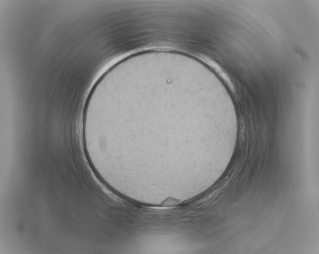 X0000115451343200912161507