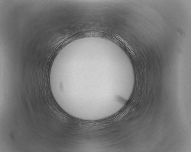 X0000115451348200912161506