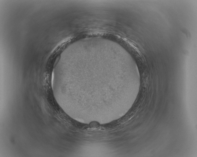 X0000115451351200912161506