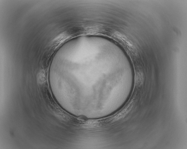 X0000115451353200912161506