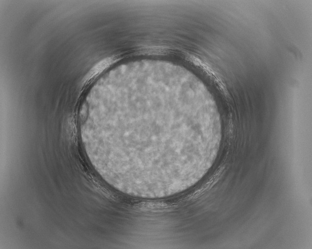 X0000115451354200912161506