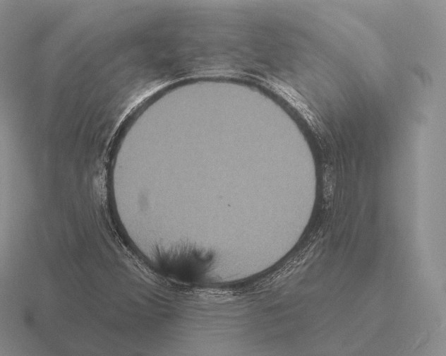 X0000115451356200912161506