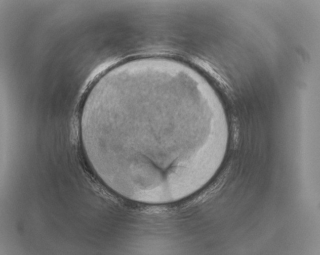 X0000115451358200912161506