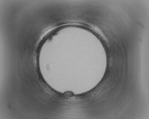 X0000115451360200912161506