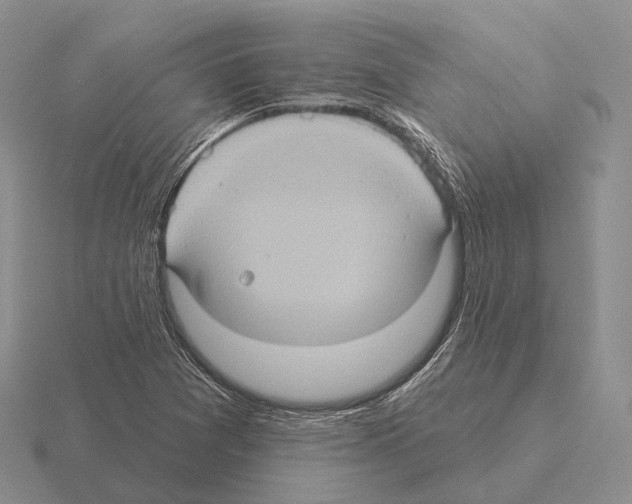 X0000115451361200912161506