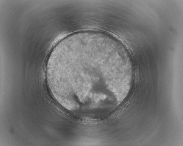 X0000115451363200912161506