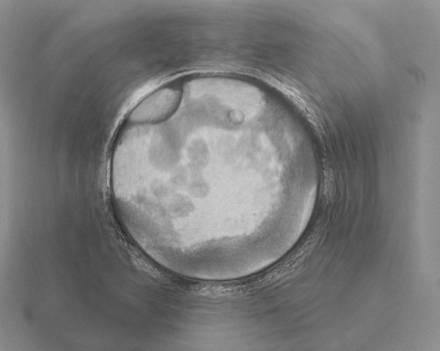 X0000115451366200912161506