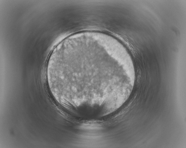 X0000115451367200912161506