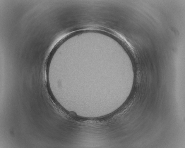 X0000115451368200912161506