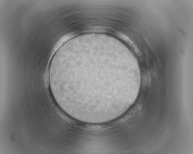 X0000115451370200912161506