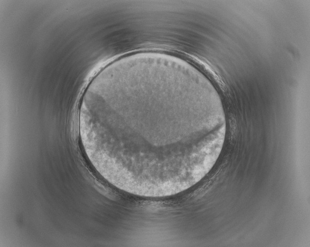 X0000115451371200912161506