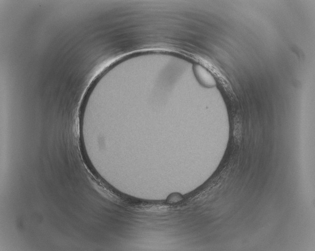 X0000115451372200912161506