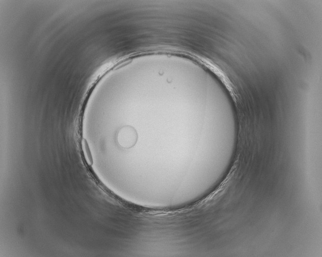 X0000115451373200912161506