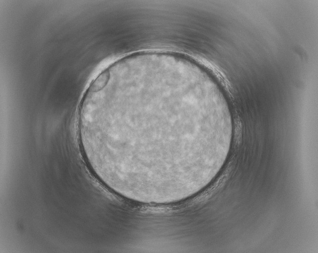 X0000115451374200912161506