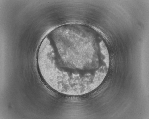 X0000115451375200912161506