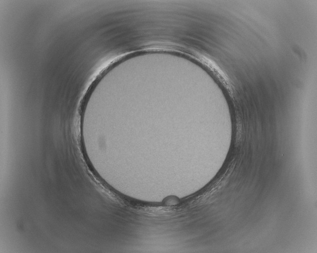 X0000115451376200912161506