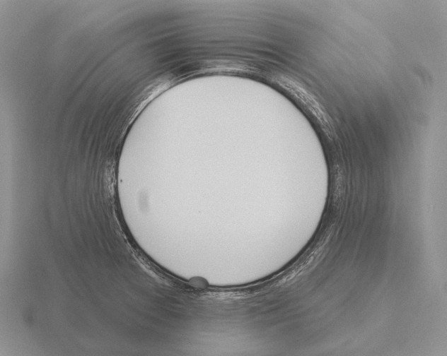 X0000115451377200912161506