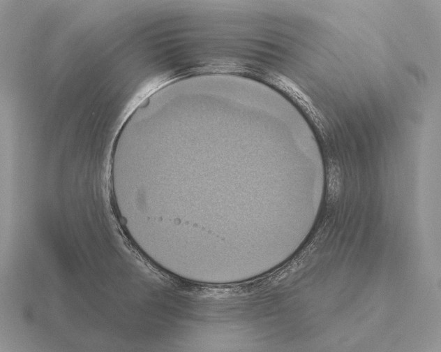 X0000115451378200912161506