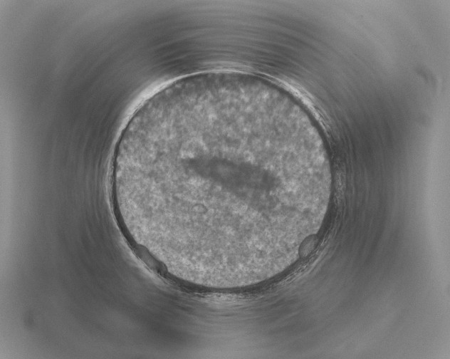 X0000115451379200912161505