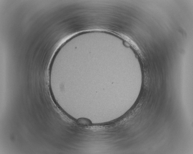 X0000115451380200912161505