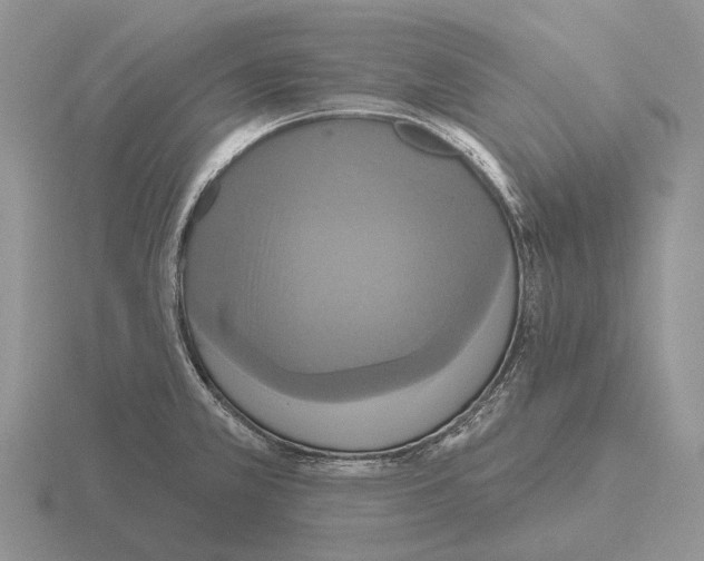 X0000115451381200912161505