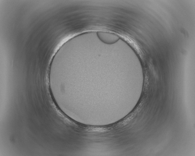 X0000115451382200912161505