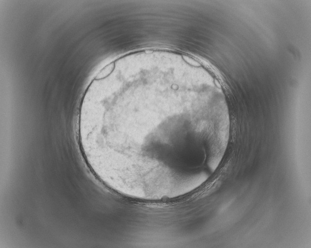 X0000115451383200912161505