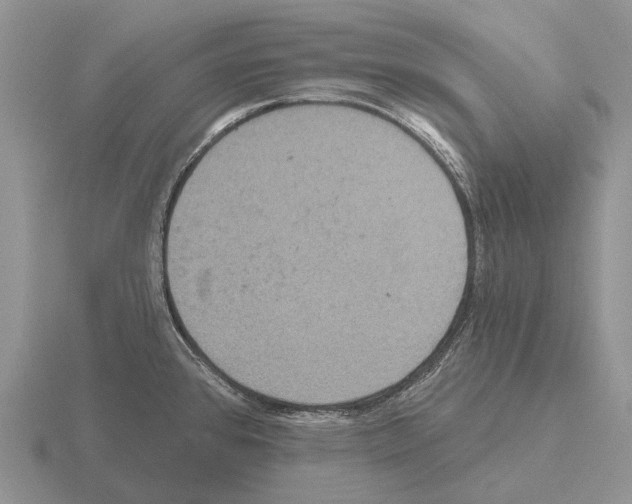 X0000115451384200912161505