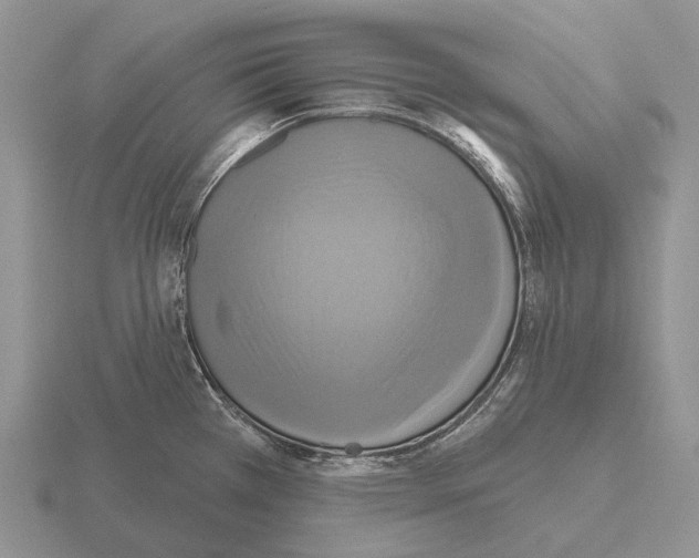 X0000115451385200912161505