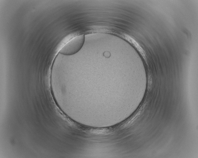 X0000115451386200912161505