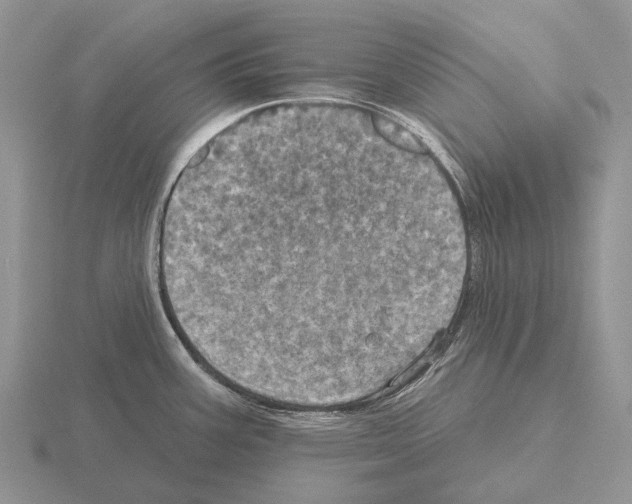 X0000115451387200912161505