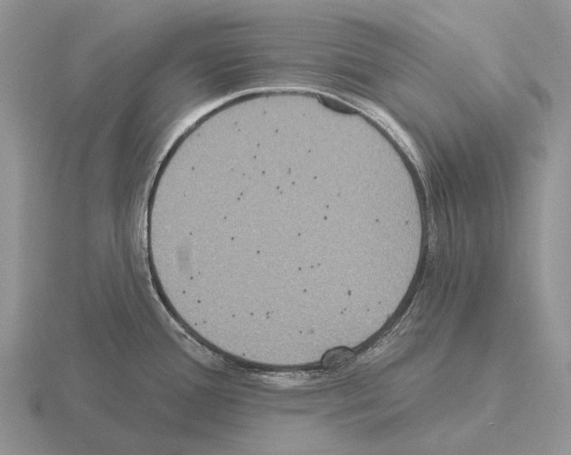 X0000115451388200912161505