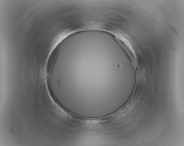 X0000115451389200912161505