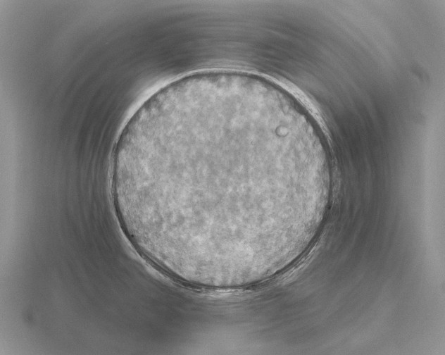 X0000115451390200912161505