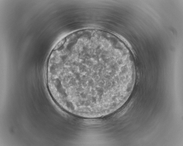 X0000115451391200912161505